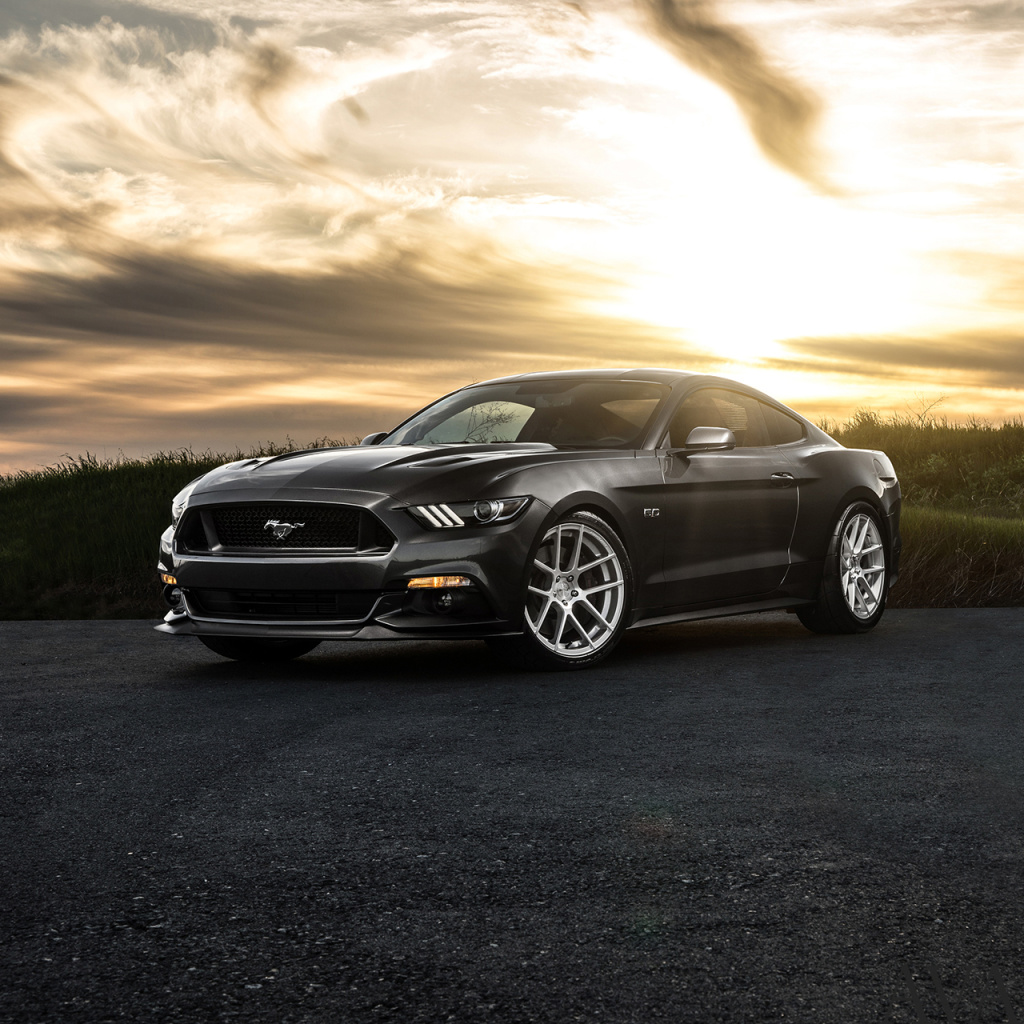 Sfondi Ford Mustang 2015 Avant 1024x1024