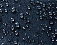 Water Drops wallpaper 220x176