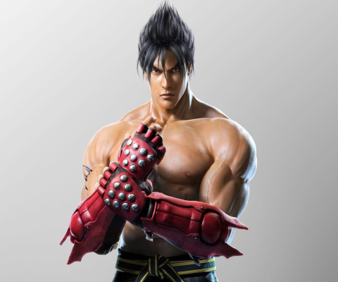 Jin Kazama, The Tekken Game wallpaper 480x400