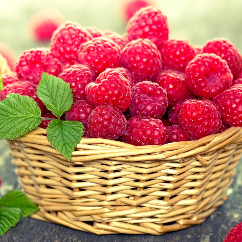 Обои Basket with raspberries 1024x1024
