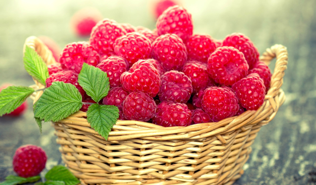 Sfondi Basket with raspberries 1024x600