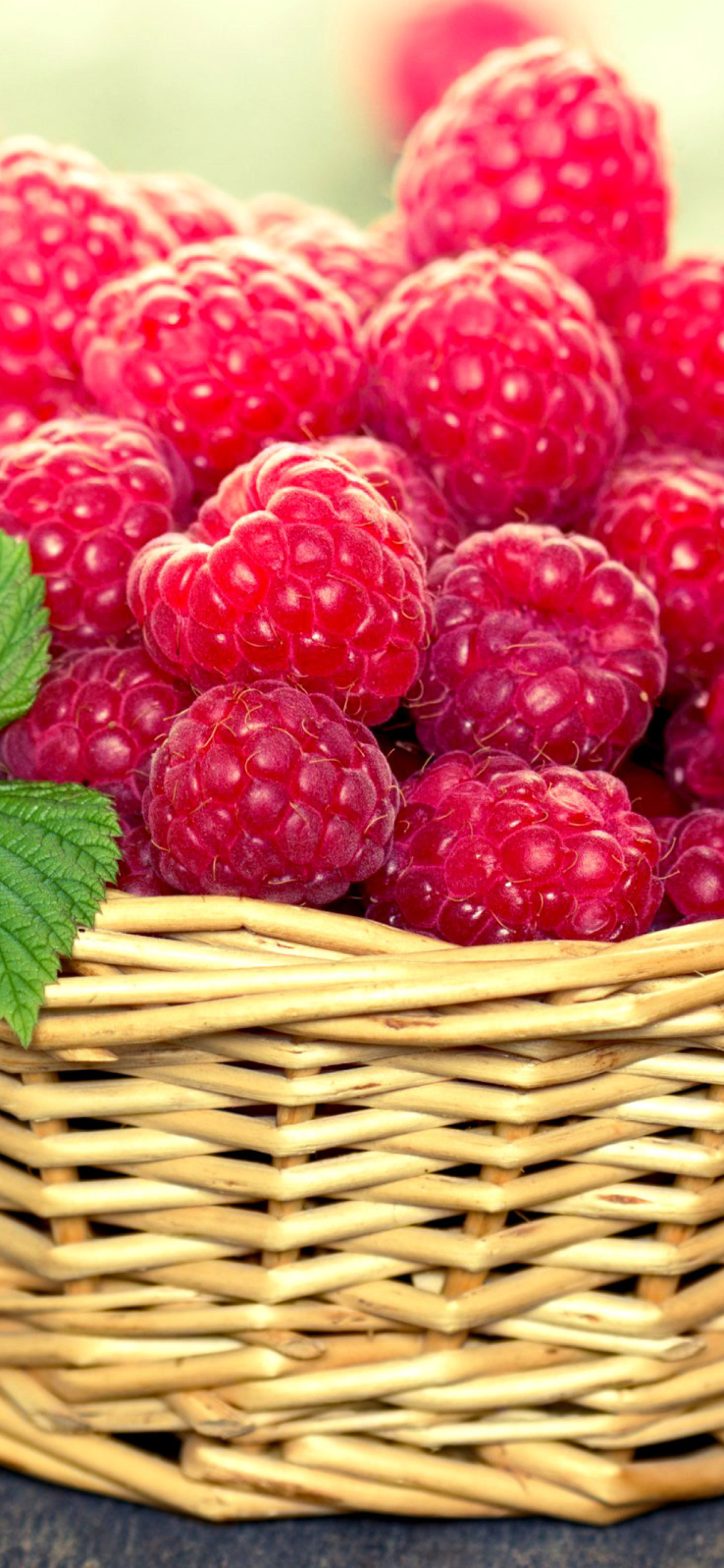 Basket with raspberries wallpaper 1170x2532