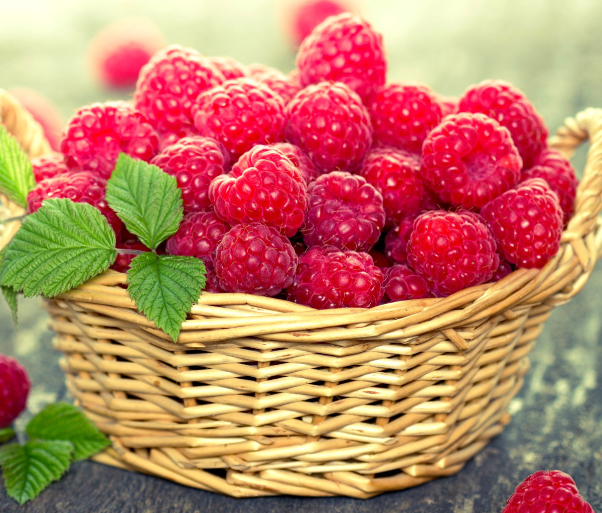 Обои Basket with raspberries 1200x1024