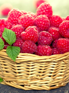 Basket with raspberries wallpaper 240x320