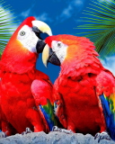 Das Love Parrots Wallpaper 128x160