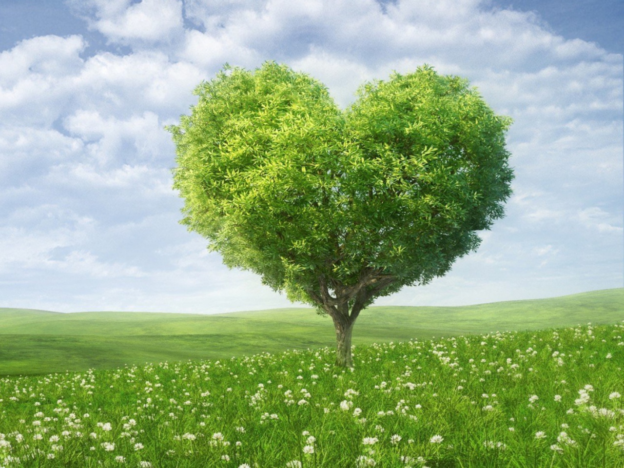 Nature Heart screenshot #1 1280x960