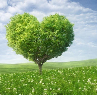Nature Heart - Obrázkek zdarma pro iPad mini