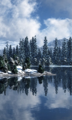 Das Blue Winter Landscape Wallpaper 240x400