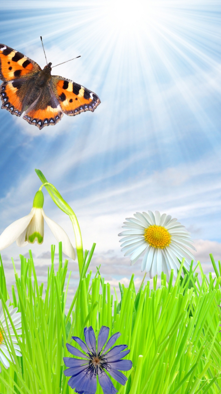 Happy Spring wallpaper 750x1334