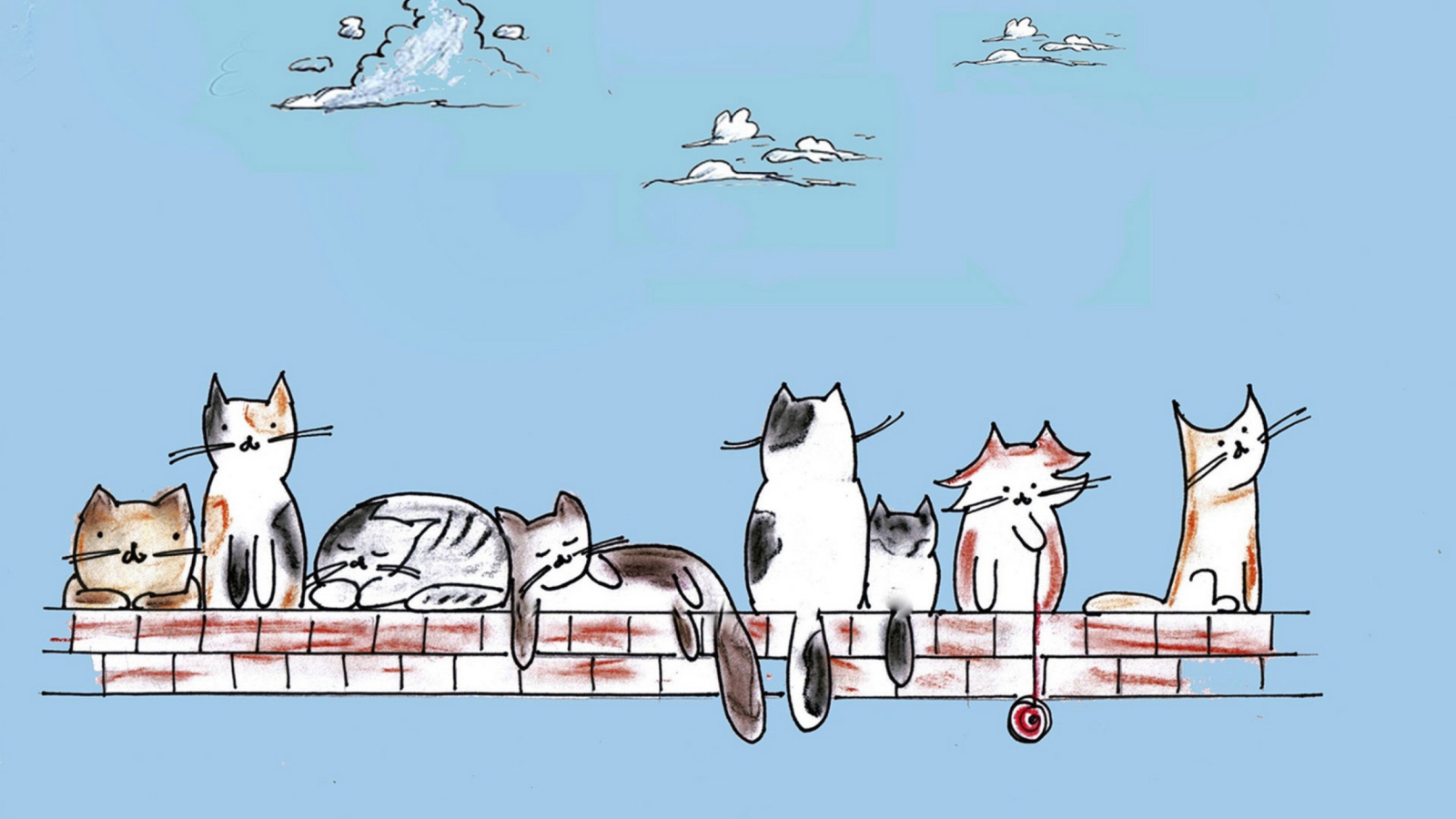 Das Cats Wallpaper 1600x900