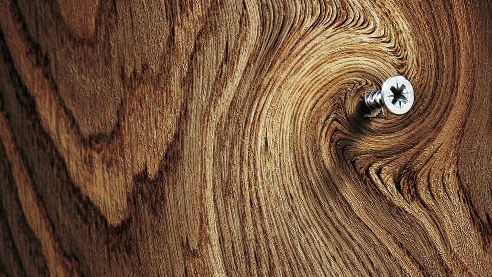 Das Screw In Wooden Wall Wallpaper 1600x900