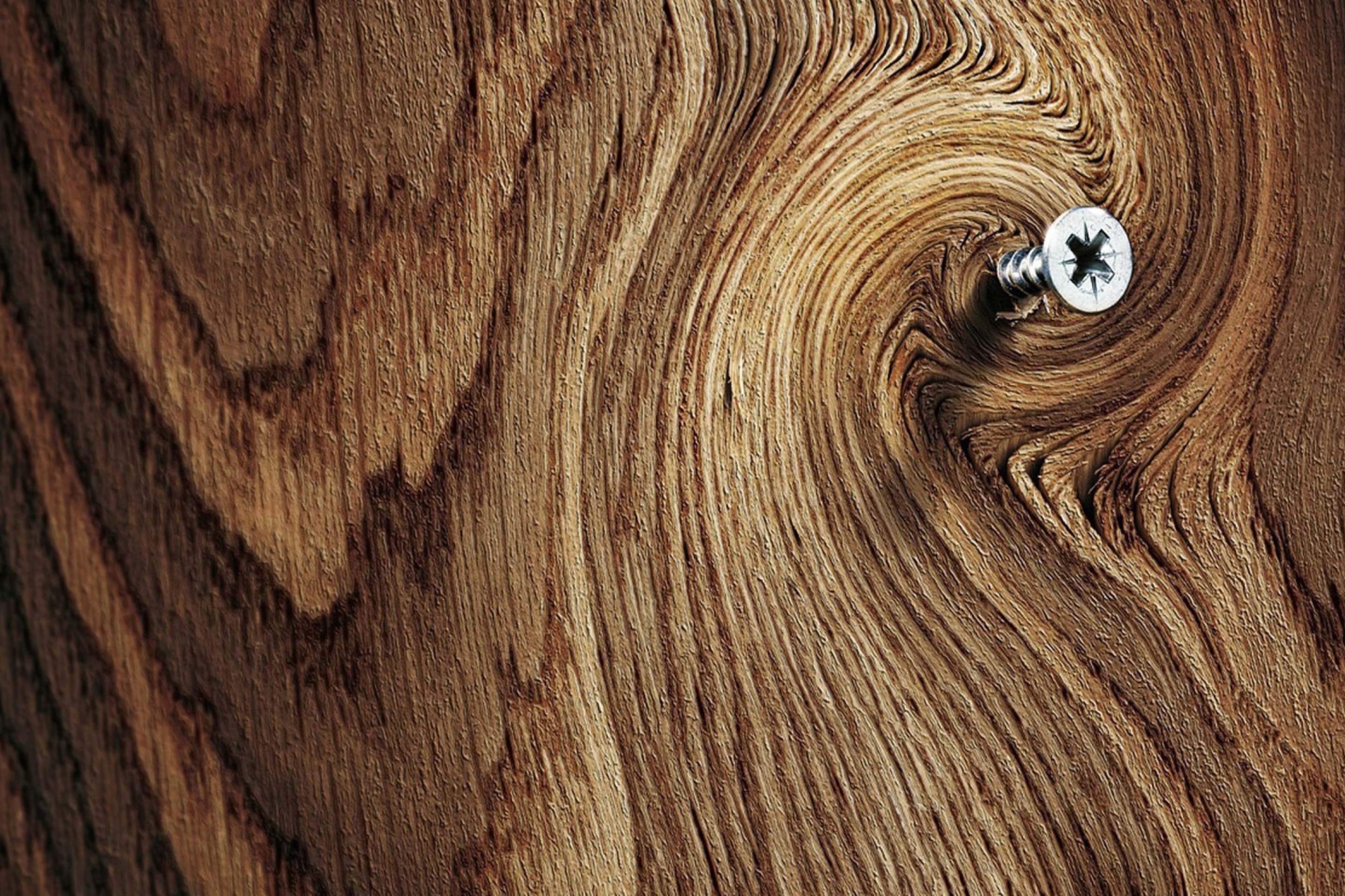 Обои Screw In Wooden Wall 2880x1920