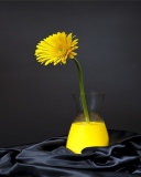 Sfondi Yellow Flower 128x160