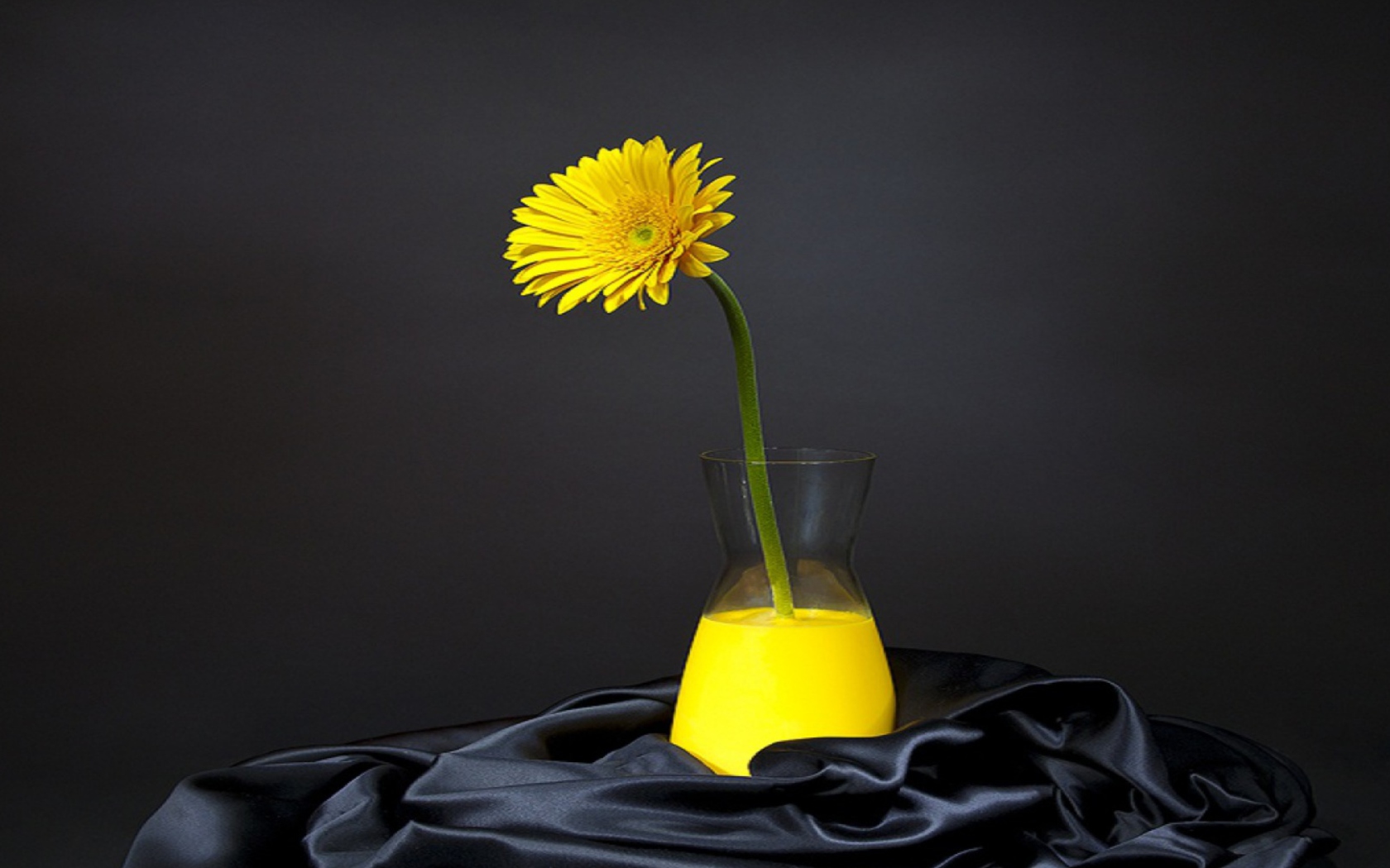 Sfondi Yellow Flower 1680x1050