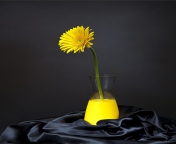 Fondo de pantalla Yellow Flower 176x144