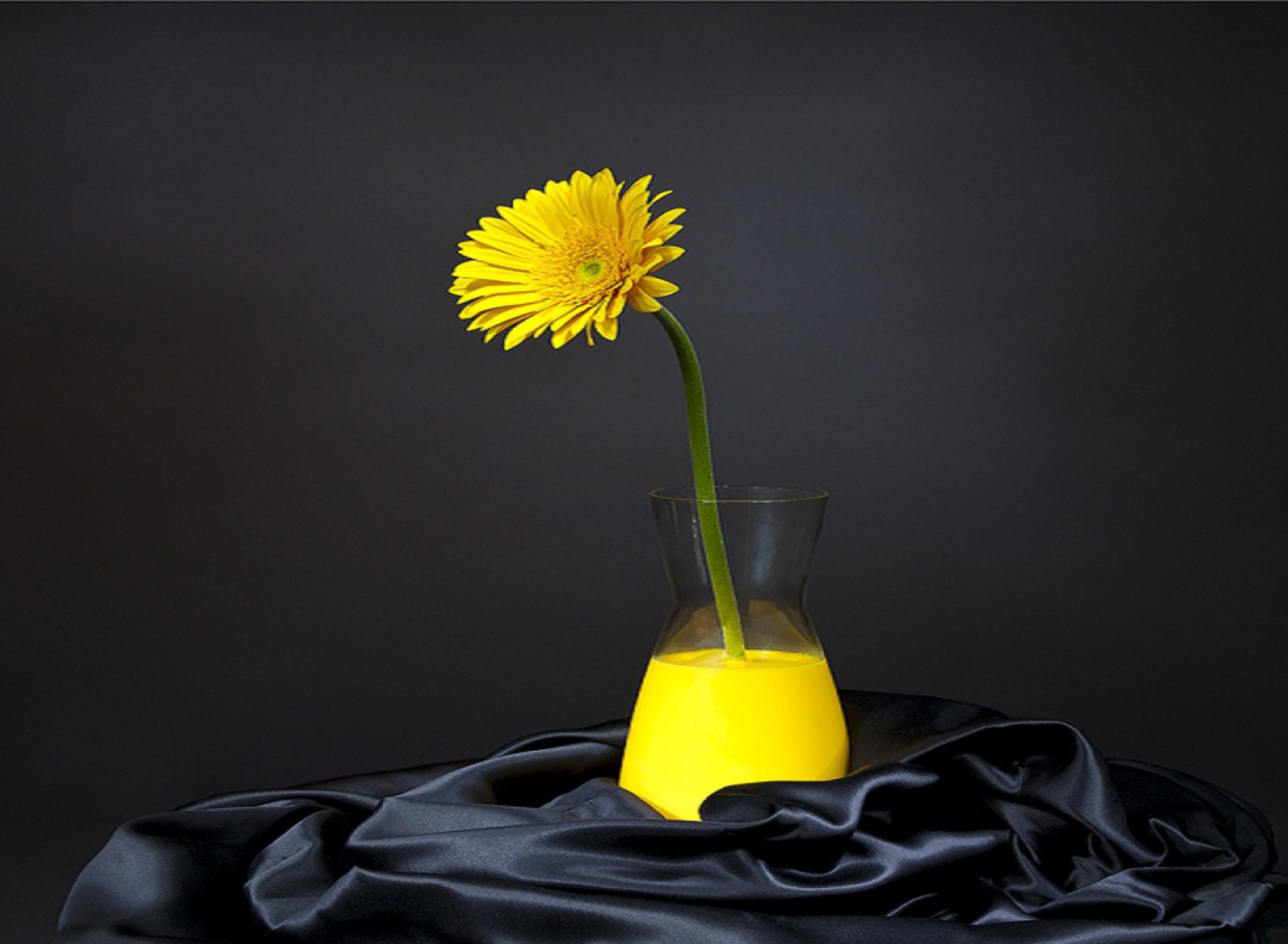 Fondo de pantalla Yellow Flower 1920x1408