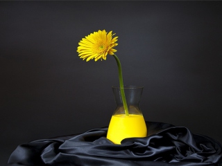 Yellow Flower screenshot #1 320x240