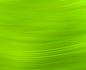 Das Green Pattern Wallpaper 176x144