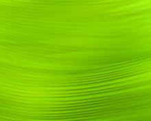 Green Pattern wallpaper 220x176