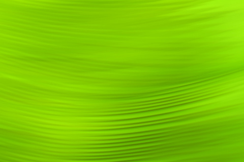 Das Green Pattern Wallpaper 480x320