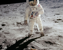Fondo de pantalla Man On The Moon 220x176