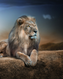 King Lion wallpaper 128x160