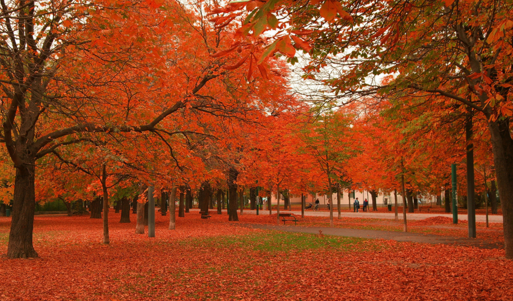 Autumn Scenery wallpaper 1024x600