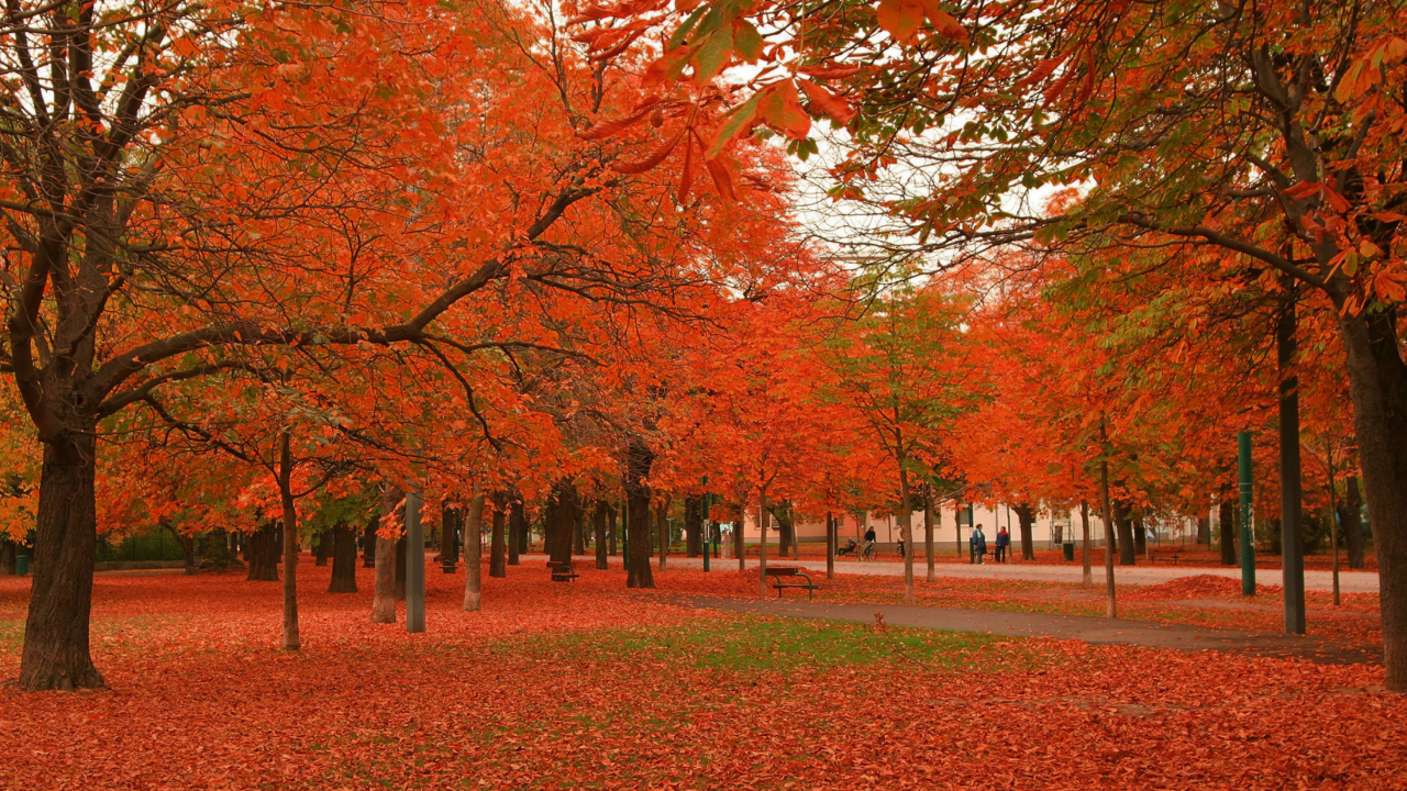 Das Autumn Scenery Wallpaper 1280x720