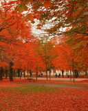 Fondo de pantalla Autumn Scenery 128x160
