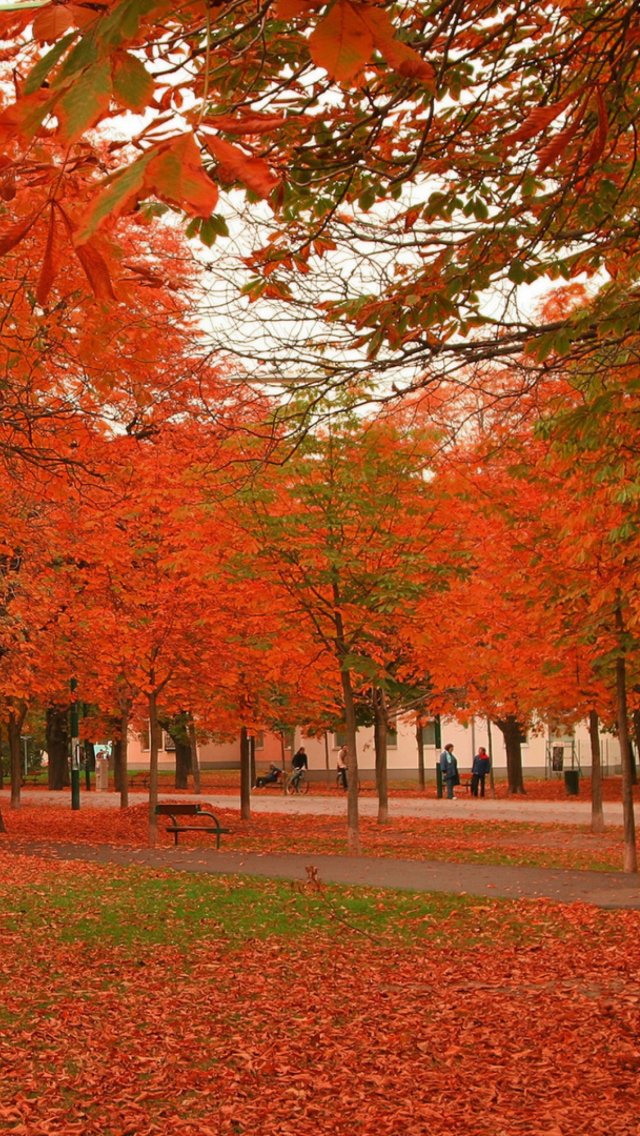 Autumn Scenery wallpaper 640x1136