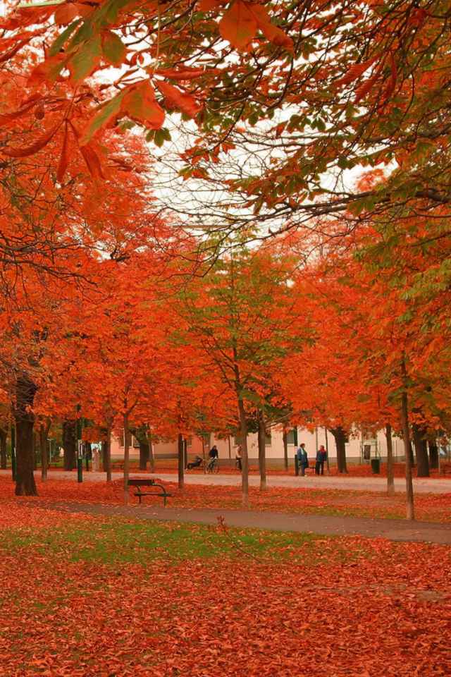 Sfondi Autumn Scenery 640x960