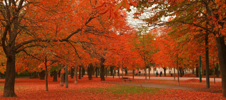 Sfondi Autumn Scenery 720x320