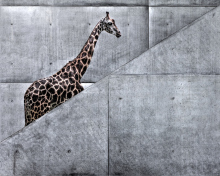 Giraffe Geometry wallpaper 220x176