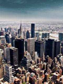 Screenshot №1 pro téma New York Skyscrapers 240x320