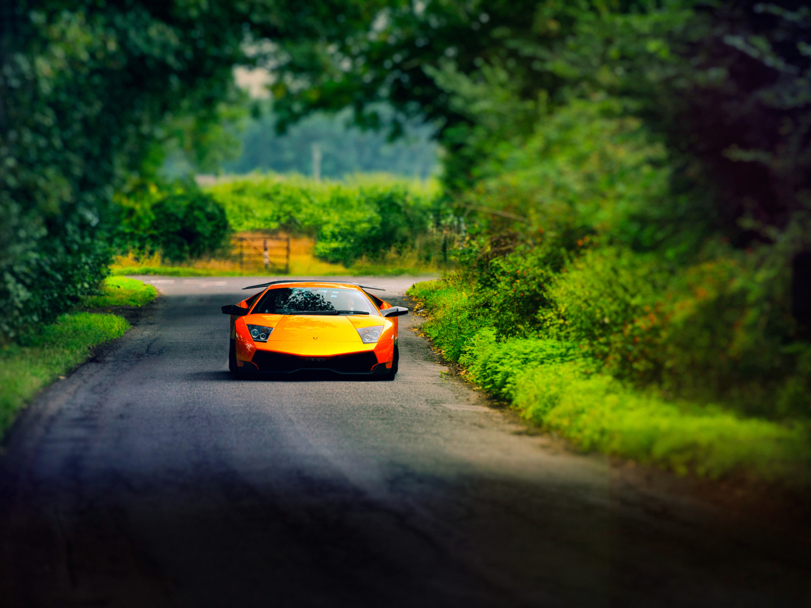 Das Lamborghini Murcielago Wallpaper 1600x1200