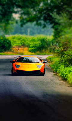 Lamborghini Murcielago wallpaper 240x400