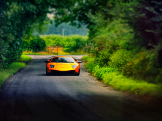 Lamborghini Murcielago wallpaper 320x240