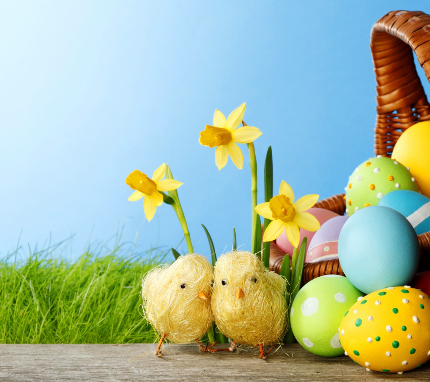 Das Yellow Easter Chickens Wallpaper 1440x1280