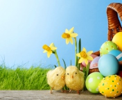 Yellow Easter Chickens wallpaper 176x144