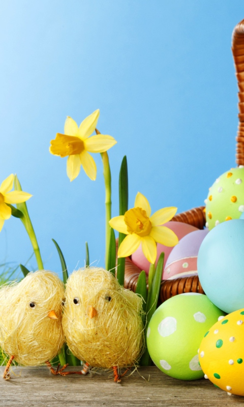 Das Yellow Easter Chickens Wallpaper 480x800