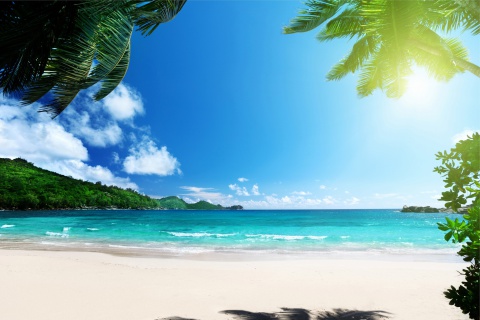 Vacation on Virgin Island wallpaper 480x320