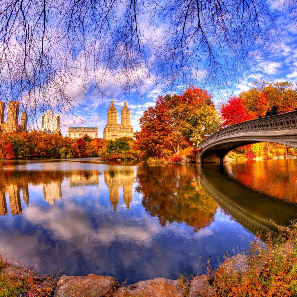 Fondo de pantalla Architecture Reflection in Central Park 1024x1024