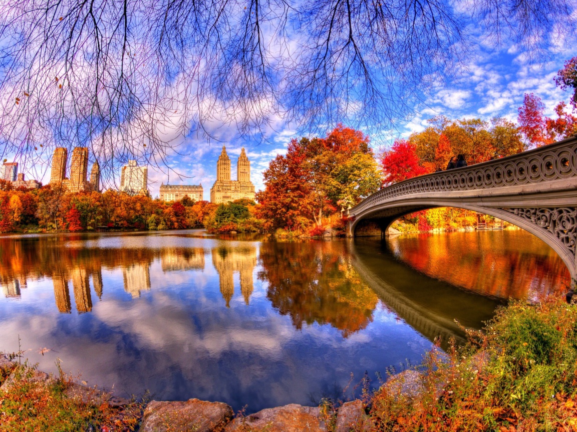 Architecture Reflection in Central Park wallpaper 1152x864