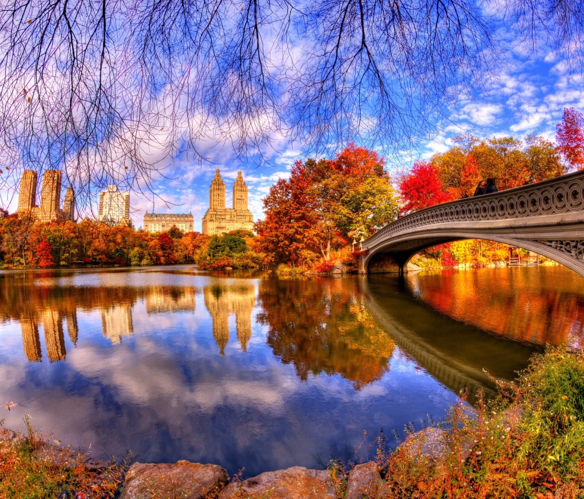 Fondo de pantalla Architecture Reflection in Central Park 1200x1024
