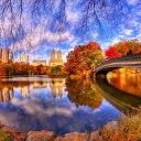Architecture Reflection in Central Park wallpaper 128x128
