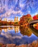 Das Architecture Reflection in Central Park Wallpaper 128x160