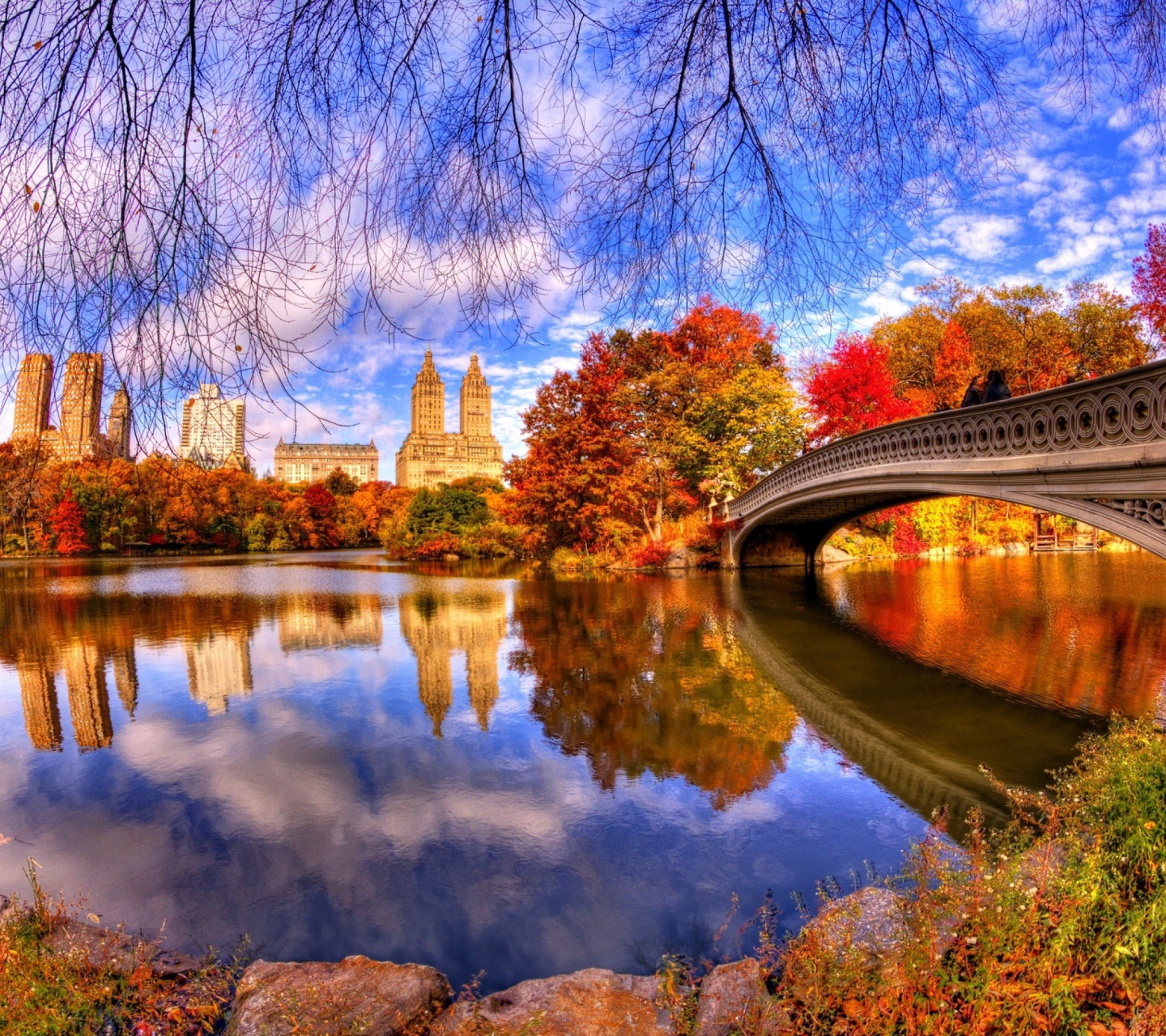 Architecture Reflection in Central Park wallpaper 1440x1280
