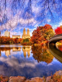Architecture Reflection in Central Park wallpaper 240x320