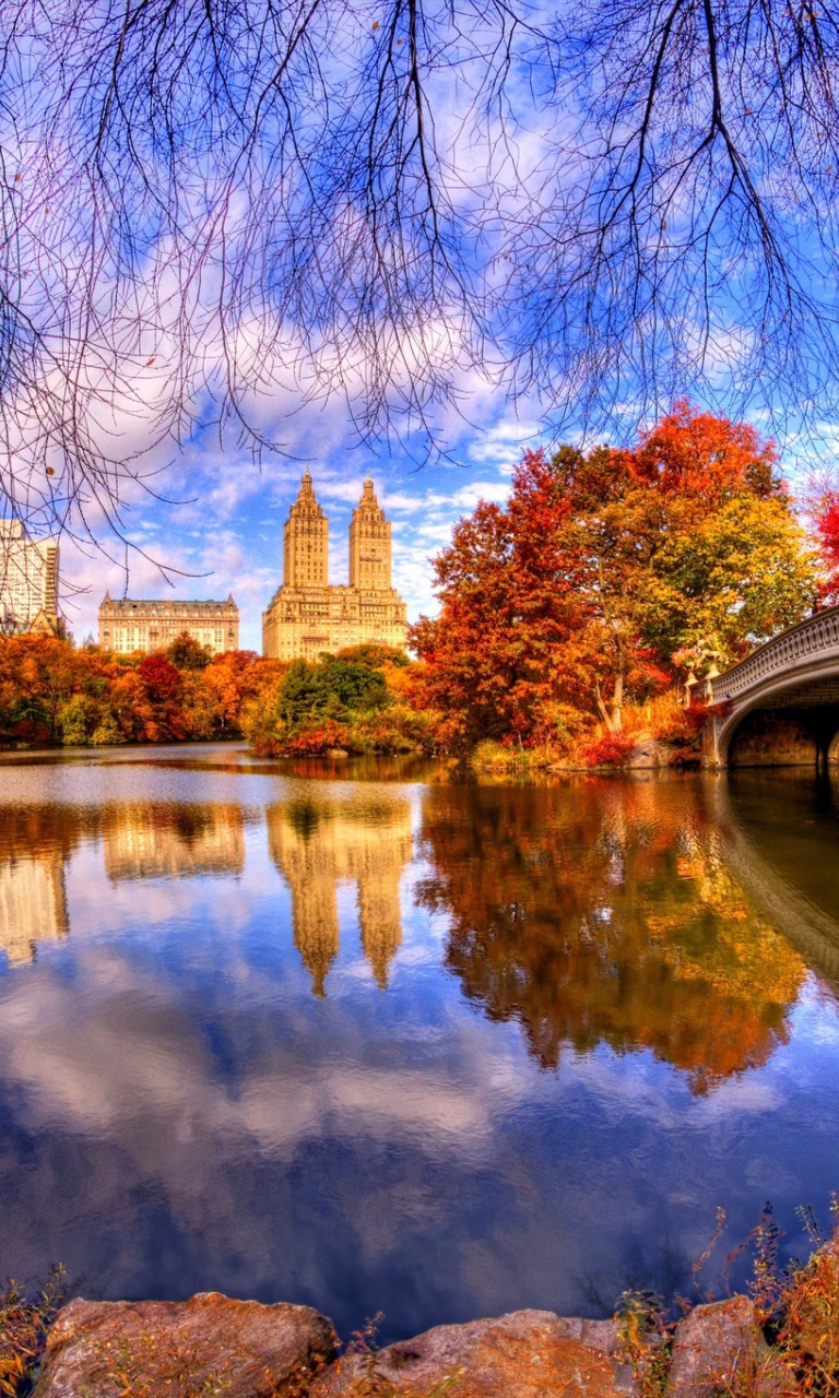 Fondo de pantalla Architecture Reflection in Central Park 768x1280