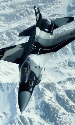 Fondo de pantalla F-16 Fighting Falcon 240x400